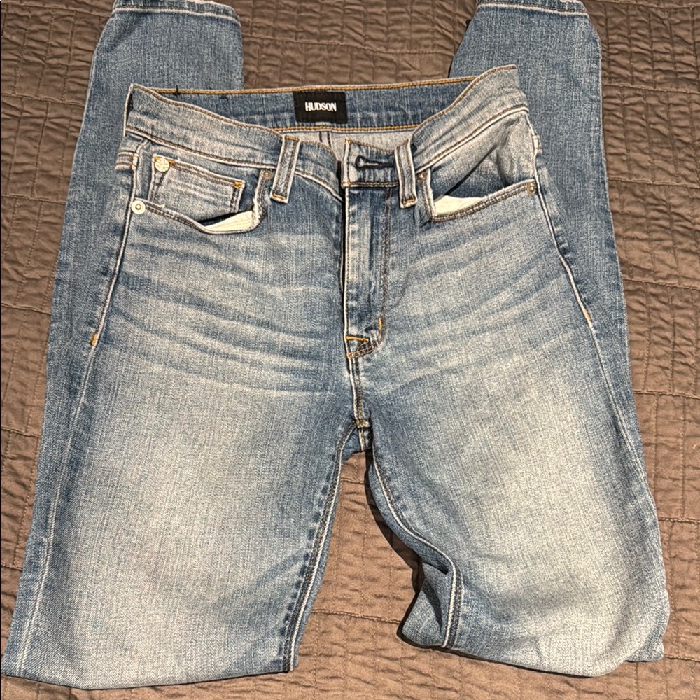 Hudson Jeans Blue Skinny Jeans